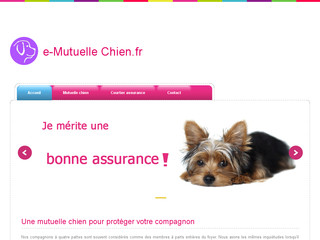 Détails :  Le coût d'une mutuelle chien