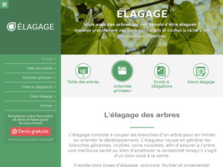 Détails : L'élagage: une activité professionnelle à part