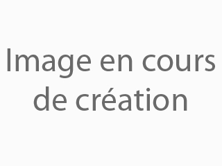 Les portes de garage à ouvrant intérieur ou extérieur